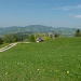 Blick nach Hemberg