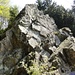 Klettergarten Harzlochfelsen