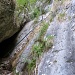 Scalini scavati nella roccia