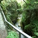 Passarella sul fiume