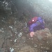 bereits wieder im Abstieg, kurz unterhalb des Gipfels, wo auf Schneeresten ein Kamin hinunter gekraxelt werden muss