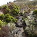 im Abstieg; Blick zurück auf den "Lava-Weg"