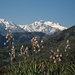 Du Col de Castirla, vue sur les sommets de Haute Restonica