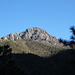 Auf dem Rückweg zwischen Josephine Saddle und Trailhead - Blick zum Gipfelblock des Mount Wrightson