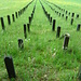 Soldatenfriedhof bei der Challhöchi