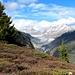 Immer wieder faszinierend - der Blick zum grossen Aletschgletscher im Abstieg