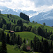 Verdure printanière à Schwanden, avec la région de la Jungfrau au fond