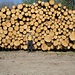 Mächtiger Holzstapel