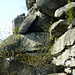 ....  Habersteinen, eine schöne und große Felsgruppe - typisch für das Fichtelgebirge.