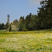 über den Frühlingswiesen erscheint der Botta-Turm