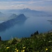 Im Aufstieg zum Dosse. Der Vierwaldstättersee. Mit ziemlicher Sicherheit der schönste See der Schweiz.