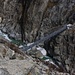 Unerhalb der Gletscherzunge des Oberaargletschers führt eine Brücke über die Schlucht. <br /><br />Hier trennen sich die beiden Sommeraufstiegswege zur Oberaletschhütte. Für den Aufstieg wähle ich den Bergweg über die Flanke unterhalb der Fusshörner, für den Abstieg den Gletscher so dass ich direkt die Brücke erreichte.