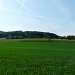 I campi di Mittelfeld.