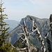 Fronalpstock