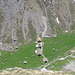 Etwas abseits des Weges - 400 m Tiefblick auf die Fälenalp II<br /><br />Die Fälenalp - Schauplatz des Films "Schönheiten des Alpsteins"