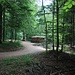 Oberhalb von Barmelweib. Hinter der Holzstiege befindet sich der Aufstieg. Im Abstieg kam ich von links vorne.