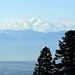 Die Sicht zum Mont Blanc ist nur noch kurz ungetrübt, etwa eine halbe Stunde später machen sich, wie auch über dem Rest der Alpen, die Wolken breit