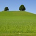 einfaches, schönes Emmental