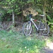 hier findet sich der bequemste Aufstieg zum Guggli:<br />entweder direkt in den Wald hinein und auf einer Spur zum "Gipfel",<br />oder ca. 50 m dem Waldrand folgend - und an einem weiteren Markierungspfahl vorbei, anschliessend auf einer anderen Spur in der Falllinie zum Guggli hoch