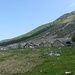 Che posto fantastico che è l'Alpe Bardughè
