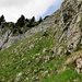 Alpinwandern: [u Lena] im Abstieg unterhalb der Einsattelung.
