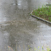 Pünktlich am Bahnhof Neu Falkenstein begann es zu regenen. Vorher, während der ganzen Wanderung, kein Tropfen :-)