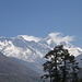 nochmals Nuptse mit Everest und Lhotse im Abstieg hinter Bäumen