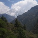nochmals Blick auf den Thamserku (6608 m) mit Wald im Vordergrund