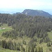 Alp Oberalp mit dem Pilatusseeli im Wald. 