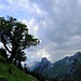 Dunkle Quellwolken über dem Alpstein. Aufstieg zur Stauberen.