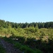 Landschaft südwestlich von Holzhausen in der Nähe des Nebelbergs(680m)