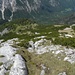 über diesen grünen Rücken steigt man auf zum Gipfel, ein roter Markierungspunkt ist sichtbar; der neue AV-Führer Berchtesgadener Alpen alpin(von 2009) schreibt über die Route 2212: nicht bezeichnet;
das ist falsch! Ab den Totenlöchern hat's rote Punkte en mass'....