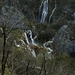 Parc National de Plitvice, Dalmatie