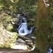 einer der kleinen Wasserfälle der Kalten Bode. Das Flüsschen Bode entspringt im Harz und mündet nach 169 km bei Nienburg in Sachsen-Anhalt in die Saale, die wiederum in die Elbe fliesst