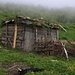 Kleine Hütte auf der grossen Alpweide Fuš Sirma auf zirka 1550m.