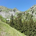 Der Aufstieg nach Chüearnisch, ein überraschend gutes Weglein führt durch die steile Südflanke