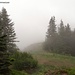 Wabbernde Nebelschwaden beim Abstieg vom Rosegg