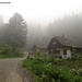 Forsthaus im Nebel