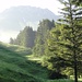 ausgangs Wald, den Riggisalpbach verlassend, verziehen sich die letzten Nebelschwaden - die Kaiseregg zeigt sich im Dunst ...