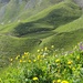 hübsches Seelein auf Riggisalp; kunstvoll mit Furchen strukturiertes Umgelände