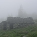 Nebel und Regen können auch eine schöne Stimmung vermitteln