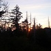 sunrise in the appalachian wilderness