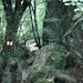 Wanderweg