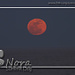 Roter Super Vollmond<br />Red super full moon<br />Roja super luna llena