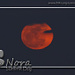 Roter Super Vollmond<br />Red super full moon<br />Roja super luna llena