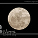 Super Vollmond 19 März 2011
Super full moon March 19th 2011
Super luna llena 19 de Marzo de 2011