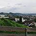 Blick von Schloss Schartenfels auf Wettingen