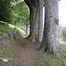 Monte Vecchio