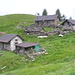 Pluni