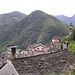 Cursolo